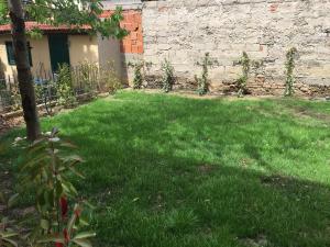 A garden outside Appartamenti Emilio