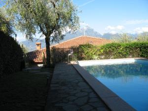 a swimming pool in front of a house with a tree at Villa Patrizia in Torri del Benaco