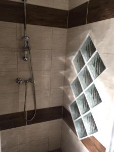 ハイドゥソボスローにあるManó Apartmanのバスルーム(ガラス張りの棚付きシャワー付)