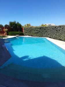 ein Pool mit blauem Wasser vor einer Hecke in der Unterkunft Stella in Quartu SantʼElena