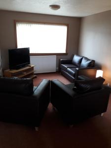 a living room with two couches and a television at Livingston Handy House in Livingston