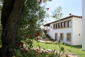 Una casa blanca con un árbol delante. en Solar do Morgado Oliveira, en Macedo de Cavaleiros