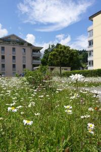 Zahrada ubytování Hotel Schweizerhof