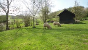 Příroda nedaleko apartmánu + 3 fotografie