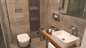 Kúpeľňa v ubytovaní Apartman VIP, with Free Garage Parking