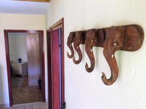 Fotografie z fotogalerie ubytování Apartment Grubelic v destinaci Prvić Šepurine