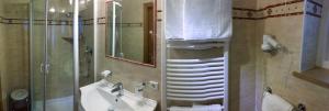 uma casa de banho com um lavatório e um chuveiro em Garni Flurida em Selva di Val Gardena