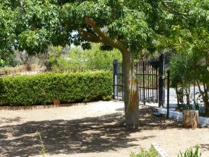 a tree in front of a gate in a park at Gullo Capo Vaticano in Ricadi
