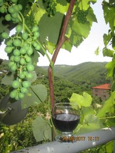 Paesaggio naturale nelle vicinanze dell'affittacamere
