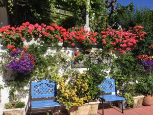 Zahrada ubytování Hotel Le Méditérranée