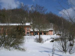 una casa en un patio cubierto de nieve con árboles en B&B IL BOSCHETTO, en Calestano