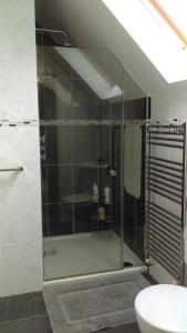 y baño con ducha acristalada y lavamanos. en Orchard Pond Bed & Breakfast, en Duxford