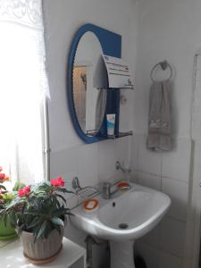 a bathroom with a sink and a mirror and a plant at Guest House Baytur in Kochkor