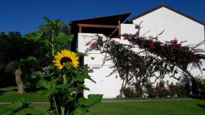 Un edificio bianco con un mazzo di fiori sopra di Nausicaa Village a SantʼAndrea Apostolo dello Ionio