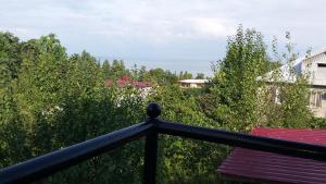 Příroda nedaleko penzionu