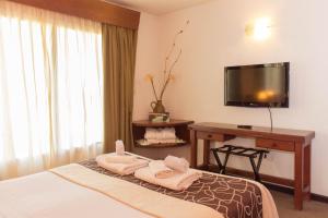 um quarto de hotel com uma cama, uma secretária e uma televisão em Hotel Malargue em Malargüe