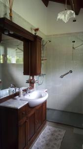 y baño con lavabo y ducha. en B&B Santa Fosca, en Pederobba