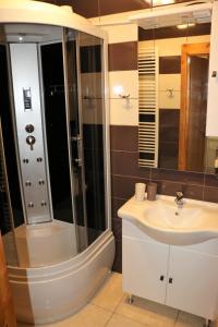 ein Bad mit einer Dusche und einem Waschbecken in der Unterkunft Ubytovanie Tri ruže in Krásnohorské Podhradie
