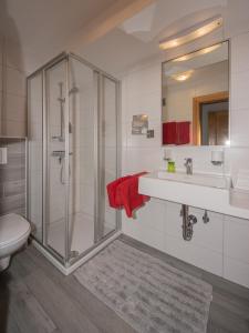 a bathroom with a shower and a sink and a toilet at Ferienwohnung Gaigg in Weyregg