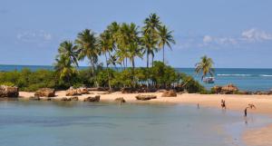 a beach with palm trees and people in the water at Local Brasil House in Morro de São Paulo