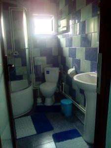 a bathroom with a toilet and a sink at Pensiunea Ana-Maria in Polovragi