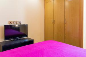 A television and/or entertainment center at Central Madrid Atocha Apartments