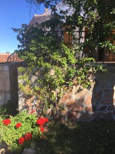 Zahrada ubytování I Mari Di Gallura Suites and Rooms