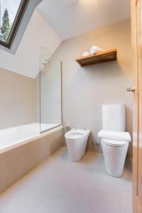 a bathroom with a toilet and a bath tub at Design Suites Bariloche in San Carlos de Bariloche