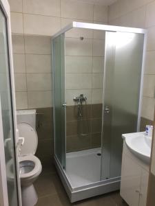 コンスタンツァにあるApartament Capitolのバスルーム(シャワー、トイレ、洗面台付)