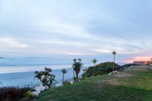 a grassy hill with palm trees and the ocean at Villa Pescatori in Yzerfontein