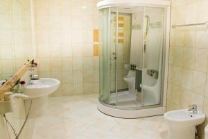 La salle de bains est pourvue d'une douche, d'un lavabo et de toilettes. dans l'établissement Alir, à Jytomyr
