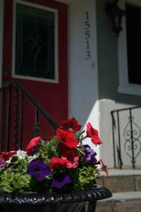 garnek kwiatów siedzący na ganku w obiekcie Semi Centre House w mieście White Rock