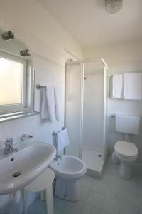 La salle de bains est pourvue d'un lavabo, de toilettes et d'une douche. dans l'établissement Hotel Vallechiara, à Moena