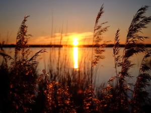 Fotografie z fotogalerie ubytování Hiie Talu v destinaci Kahala