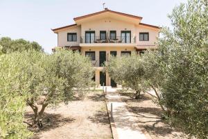 Zahrada ubytování Olive Tree Apartments