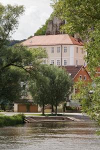 ein Gebäude im Hintergrund mit einem Wasserkörper in der Unterkunft Schloss Raitenbuch in Kallmünz