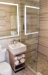 een badkamer met een toilet, een wastafel en een spiegel bij The Fredonia Hotel in Nacogdoches
