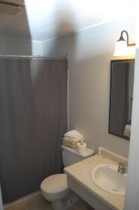 uma casa de banho com um WC, um lavatório e um espelho. em Edge of the Avalon Inn em Trepassey