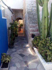 Imagen de la galería de Bubamara San Lazaro, en Arequipa