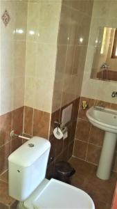 uma casa de banho com um WC e um lavatório em Хотелски комплекс Радецки град Козлодуй em Kozloduy