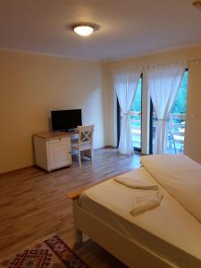 1 dormitorio con 1 cama y escritorio con TV en Guest House Carpathia, en Vişeu de Sus