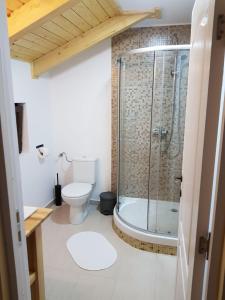 Gallery image of Guest House Carpathia in Vişeu de Sus