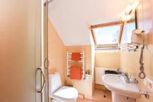 a bathroom with a toilet and a sink at Vila Claudia in Palanga +63 photos