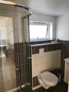 a bathroom with a toilet and a glass shower at 1-rom Apartment Sommer - Frøya in Sætra