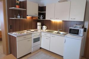 Kuchyňa alebo kuchynka v ubytovaní Apartments Egger Barbara