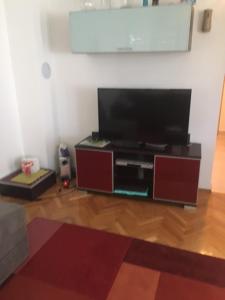 TV a/nebo společenská místnost v ubytování Apartment Vesna
