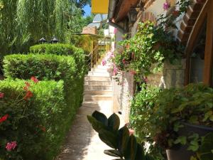 Billede fra billedgalleriet på Hotel Jambo i Golden Sands + 32 billeder