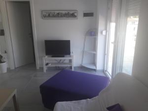 TV a/nebo společenská místnost v ubytování Apartments Villa Plava