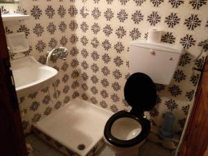 a bathroom with a toilet and a sink at Katerina in Chorefto