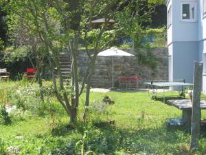 Vrt pred nastanitvijo Casa in Königs GarteN
